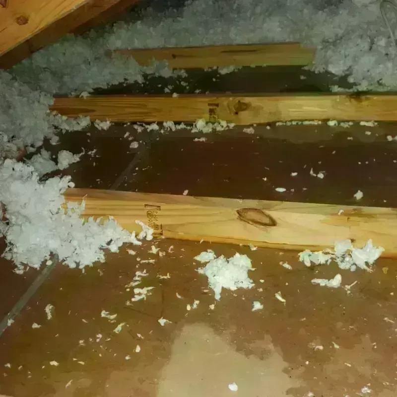 Attic Water Damage in Cromwell, CT