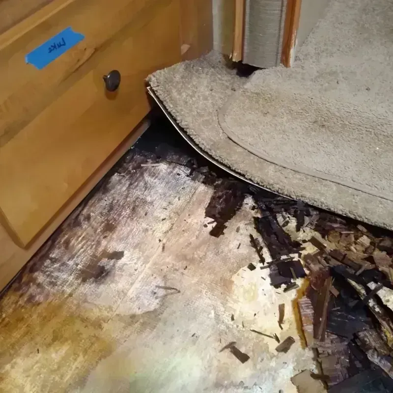 Best Wood Floor Water Damage Service in Cromwell, CT